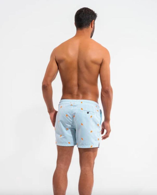 A-dam Swimshort Matthijs - RAND