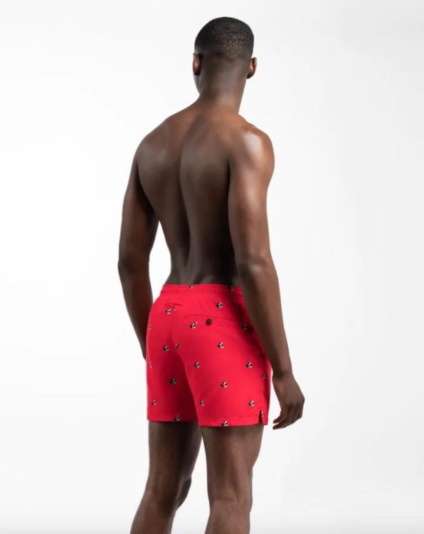 A-dam Swimshort Roy - RAND